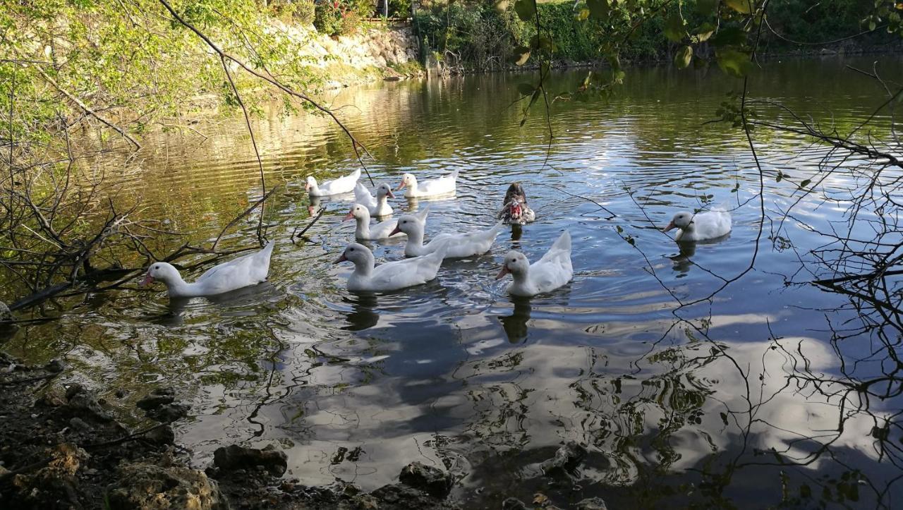 Bunga-Lodge Douville Zewnętrze zdjęcie